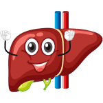 Maksatugi – osta IRON DUSTist maksa tervise ja puhastamise jaoks