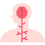 Nervous system supplements – buy at IRON DUST for brain and nerve support