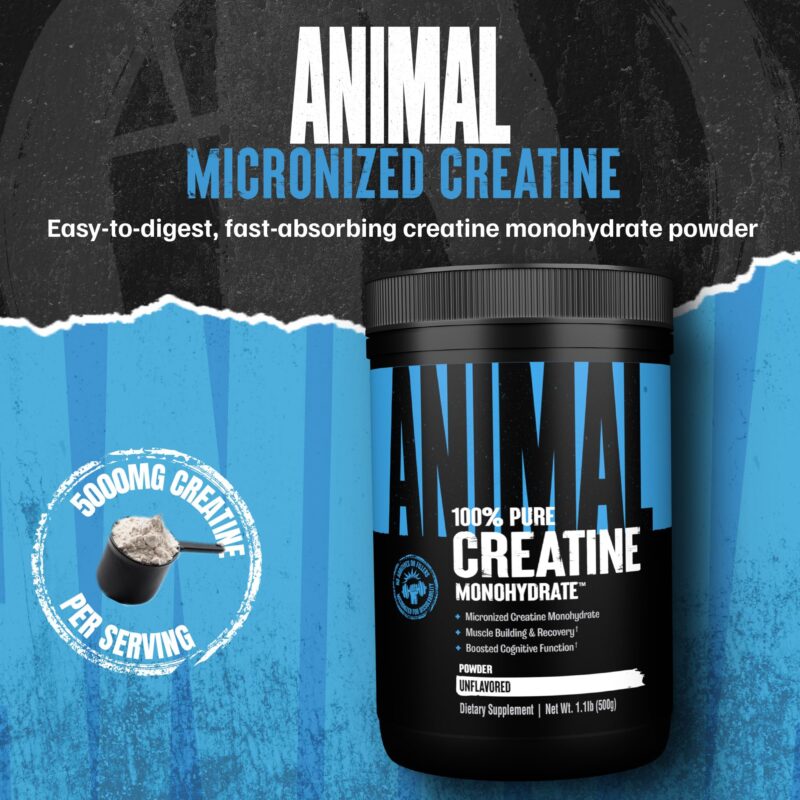 Universal Animal Creatine 500g