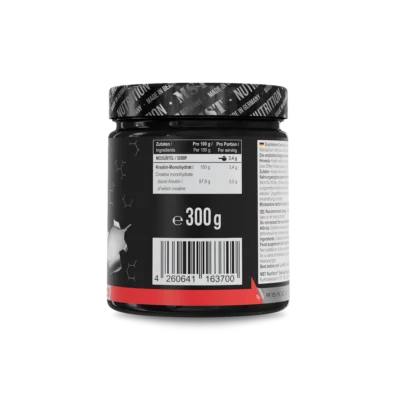 MST Creatine Micronized 300g