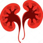 Kidney Health Supplements — IRON DUST