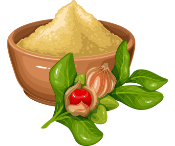 Ašvagandha – stressi vähendamiseks ja energia toetuseks