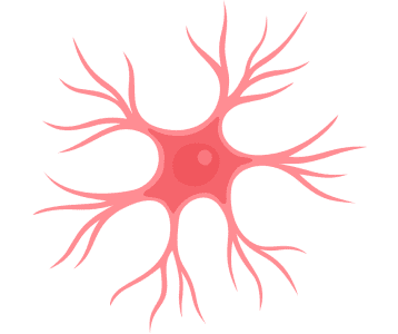 Närvisüsteem – toidulisandid vaimse tasakaalu ja närvide tervise toetuseks