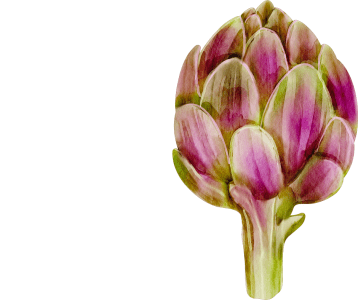 Artisoki lisandid – osta IRON DUSTist maksa ja seedimise toetuseks