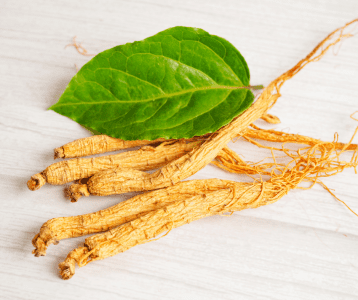 Ženšenn – energia ja immuunsüsteemi toetuseks