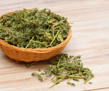 Tribulus – looduslik testosterooni tugi ja meeste tervise toetaja