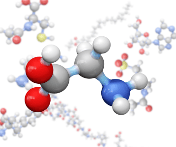 L-Sitrulliin – aminohape vereringe ja treeningu vastupidavuse toetuseks