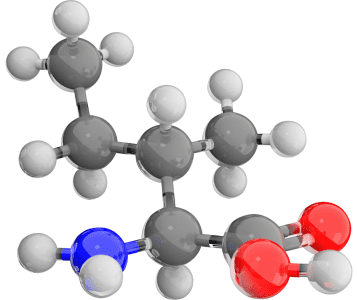 Lüsiin – oluline aminohape immuunsuse ja lihaste kasvu toetuseks