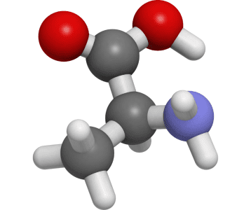 L-Metioniin – oluline aminohape maksa tervise ja ainevahetuse toetuseks