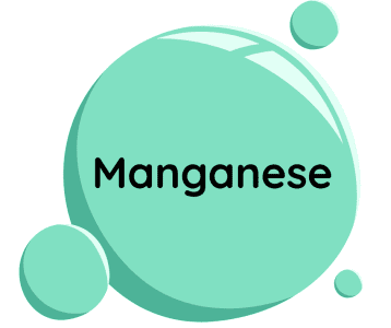 Mangaan – mineraal, mis toetab luude tervist, antioksüdantset kaitset ja ainevahetust