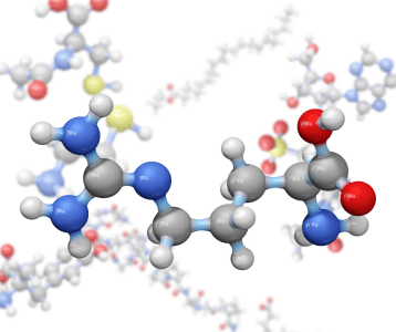 BCAA supplement photo for sports nutrition store