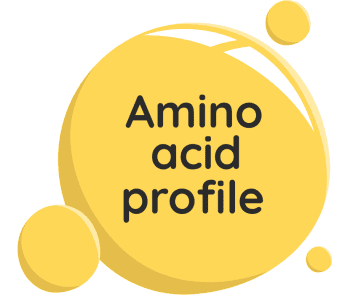 Beef Amino Acids supplement photo for sports nutrition store