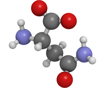 Taurine supplement photo for sports nutrition store