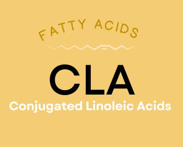 CLA Conjugated Linoleic Acid supplement photo for sports nutrition store