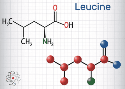 L-Leucine supplement photo for sports nutrition store