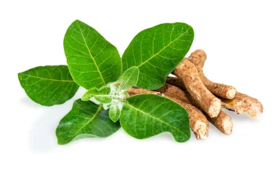 Ashwagandha supplement product photo on IRON DUST website