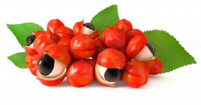 Guarana supplement product photo on IRON DUST website