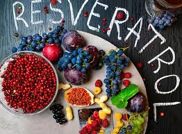 Resveratrol supplement product photo on IRON DUST website