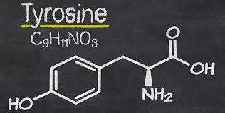 Tyrosine supplement photo for sports nutrition store