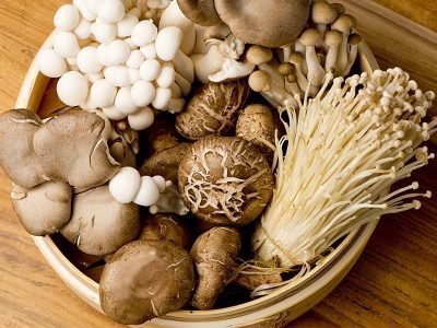 Medicinal mushroom supplements product photo on IRON DUST website