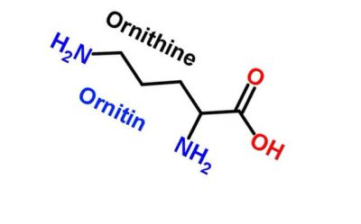 Ornithine supplement photo for sports nutrition store