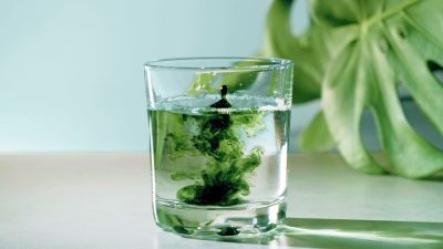 Chlorophyll supplement product photo on IRON DUST website