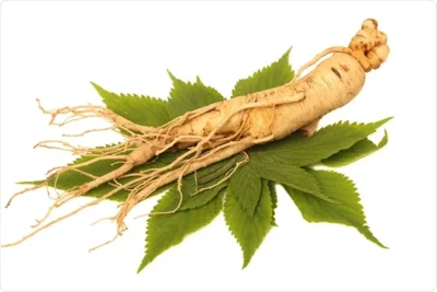 Ginseng supplement product photo on IRON DUST website