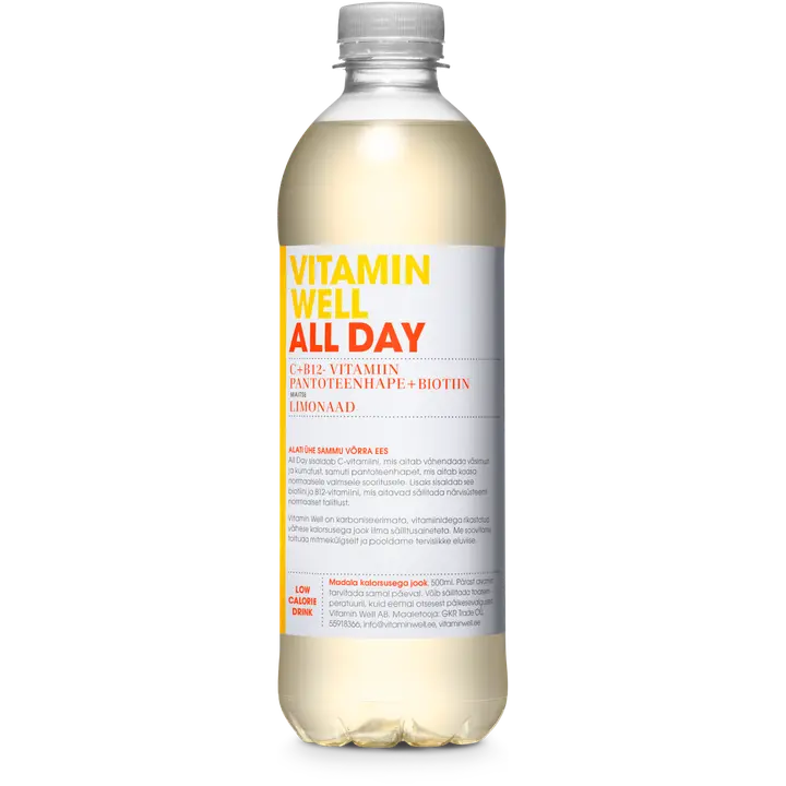Vitamin Well All Day vitamiinijook 500 ml pudel