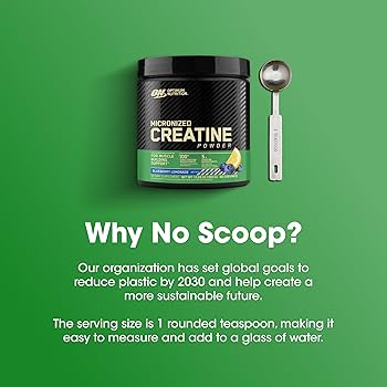 Optimum-nutrition Micronised Creatine 360g